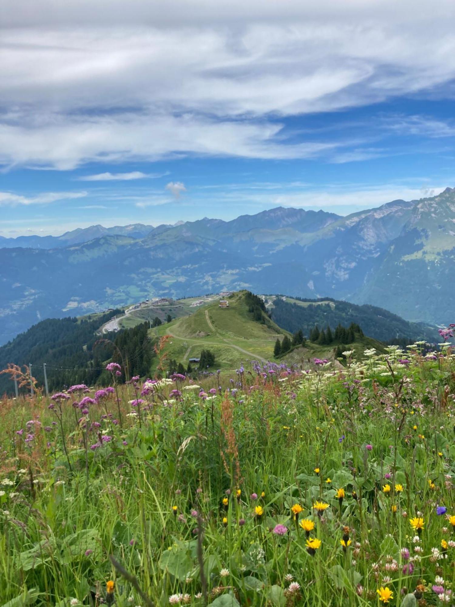 Plein Soleil Modern 3 Bedroom Apartment With Stunning Mountain Views Samoëns Eksteriør bilde
